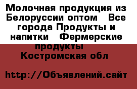 Молочная продукция из Белоруссии оптом - Все города Продукты и напитки » Фермерские продукты   . Костромская обл.